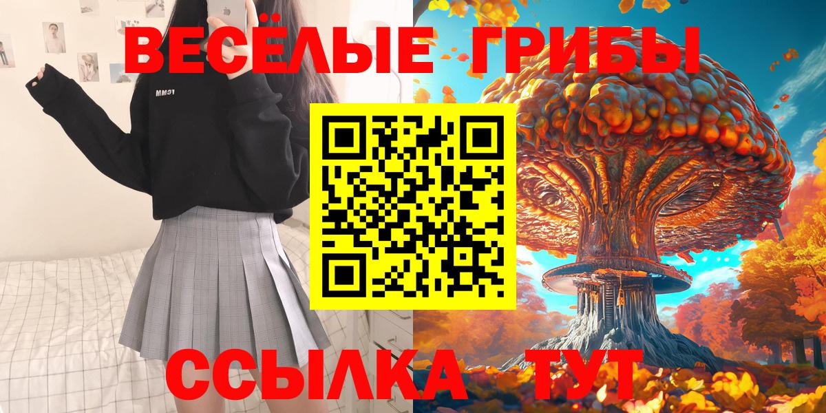Псилоцибиновые грибы MAGIC MUSHROOMS  Вход с VPN  Кингисепп  Галлюциногенные грибы Cubensis 