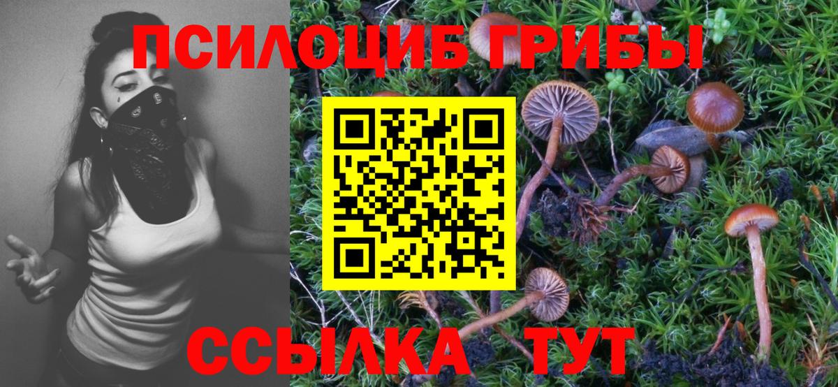 Галлюциногенные грибы прущие грибы Кингисепп